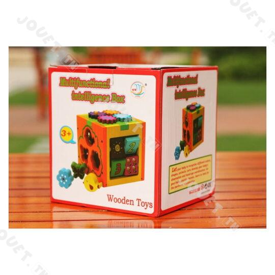 MULTIFUNCTIONAL INTELLIGENCE BOX - Jouet.tn